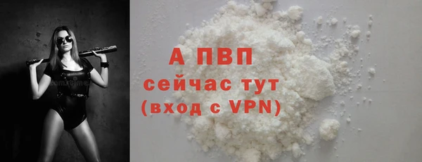 тгк Каменногорск