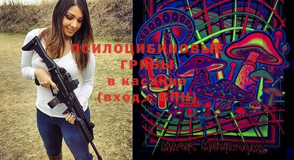 тгк Каменногорск