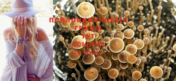 синтетический гашиш Каменка