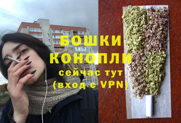 тгк Каменногорск