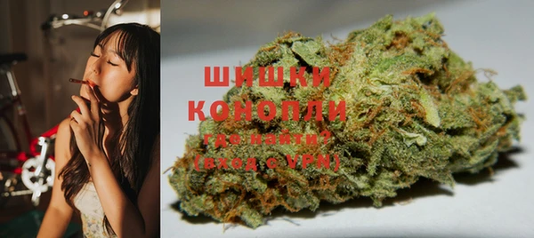 тгк Каменногорск