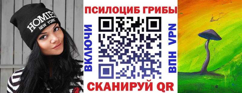 цена   Киров  Галлюциногенные грибы Cubensis 